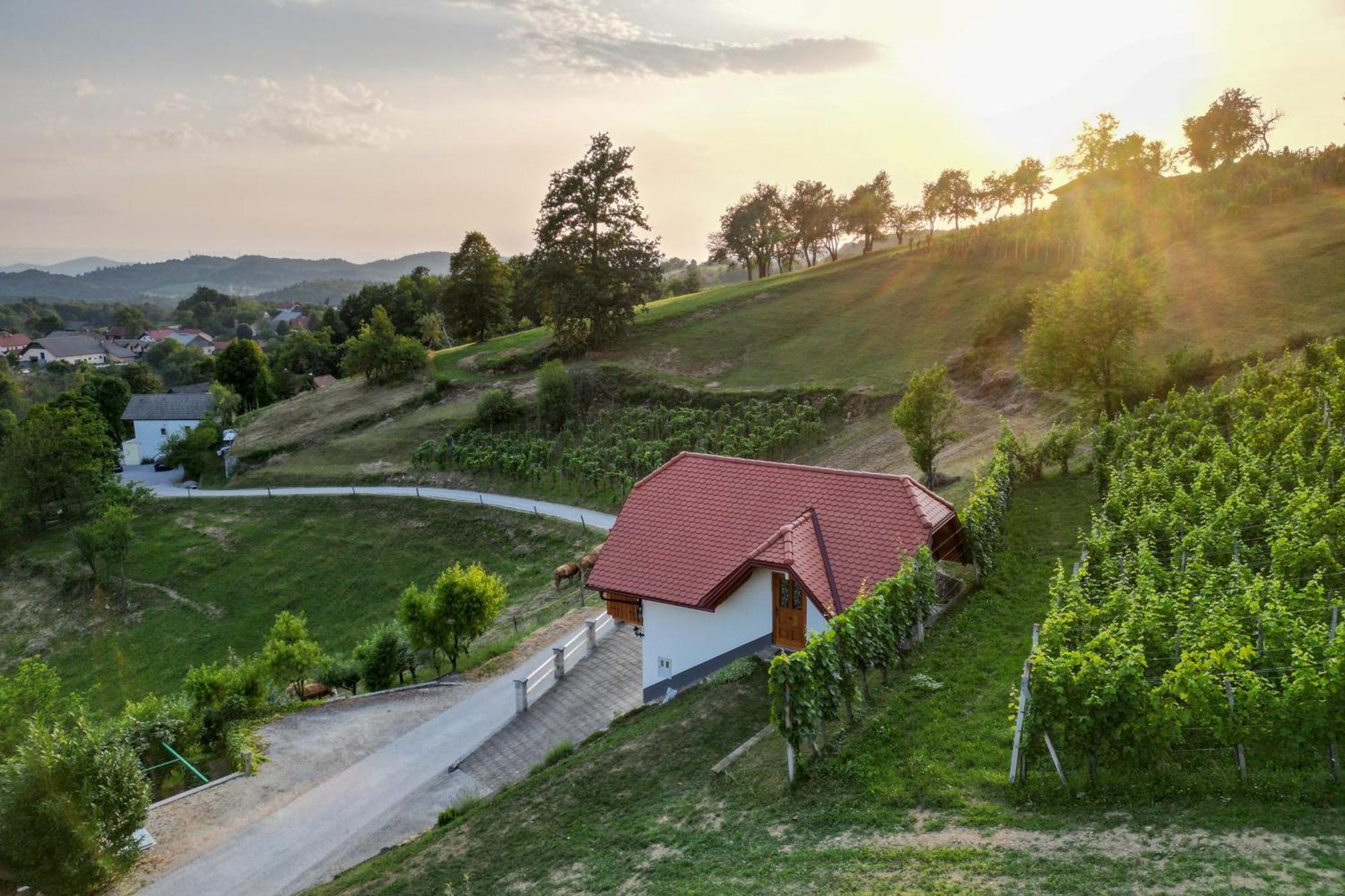 Vineyard Cottage Krivic Trebelno Eksteriør bilde