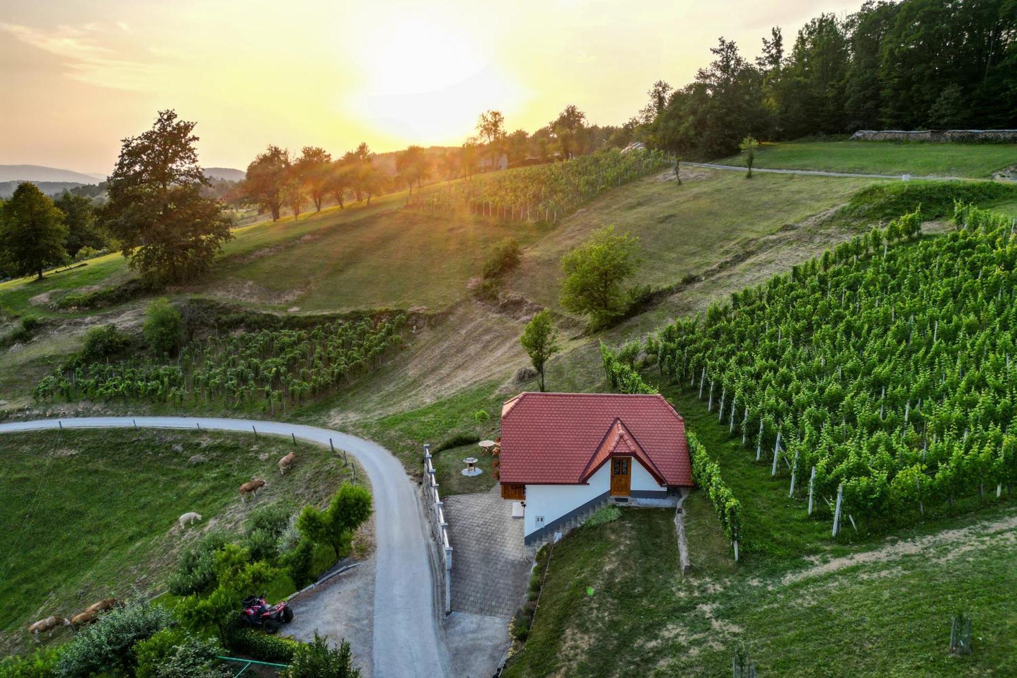 Vineyard Cottage Krivic Trebelno Eksteriør bilde