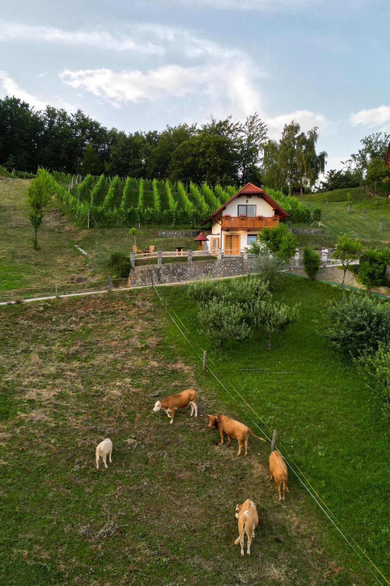 Vineyard Cottage Krivic Trebelno Eksteriør bilde
